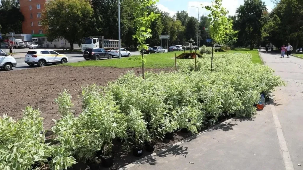 Почти два километра дорожек благоустроили в разных частях Долгопрудного