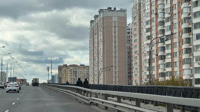 Что делать при встрече с лисой: инструкция для жителей в Долгопрудном