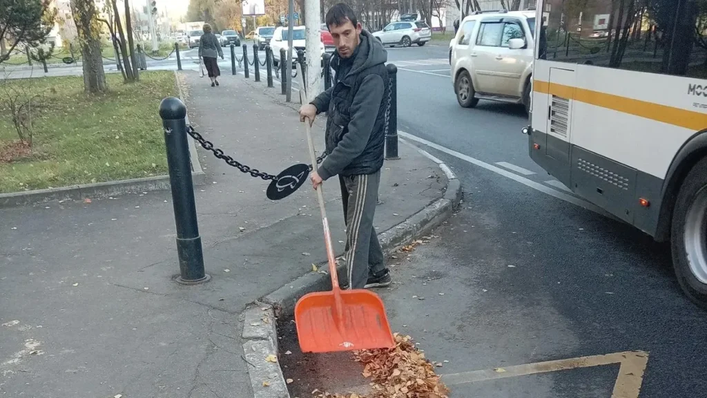 До 100 кубометров за сутки: как в Долгопрудном убирают осеннюю листву