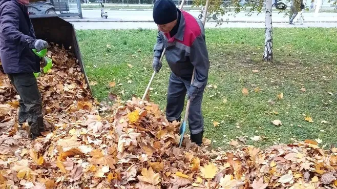 Как будут бороться со снегом и гололедом в парках Долгопрудного