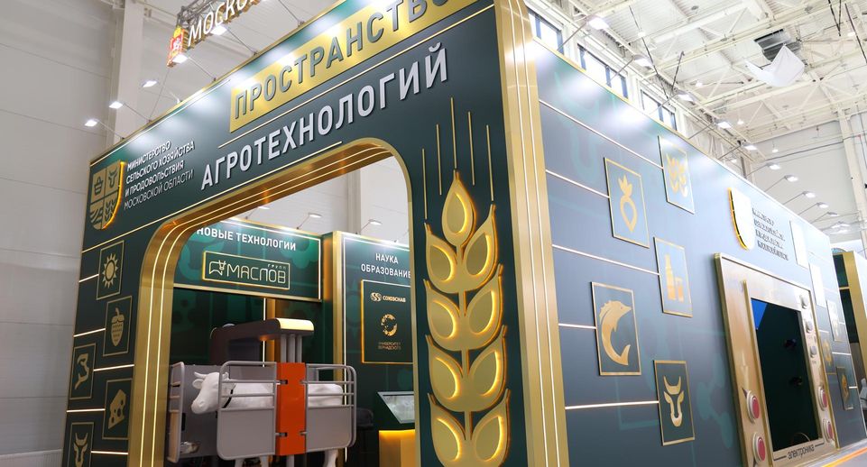 Подмосковье заключило 14 соглашений на «Золотой осени — 2026»