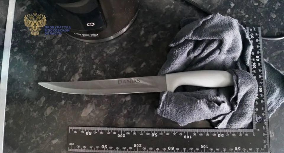 Жительницу Лобни приговорили к сроку за убийство гражданского мужа